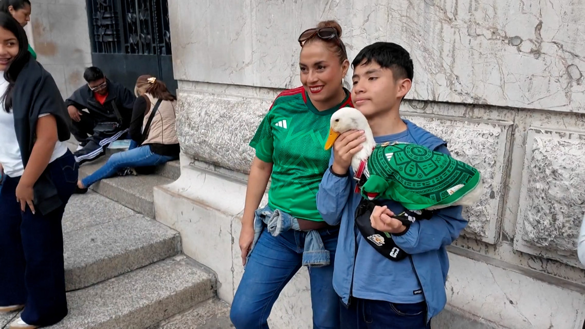 'Merlin' the Duck Grabs Headlines Amid World Cup Fever; Video Goes Viral