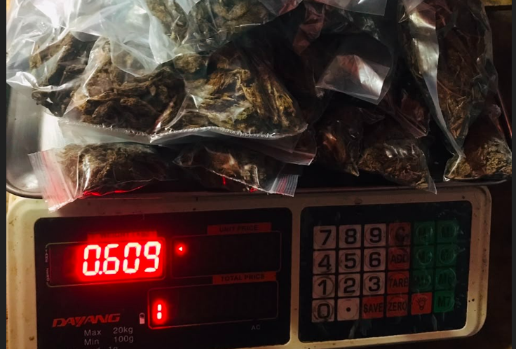 Woman Arrested with 528 Grams of Marijuana in Birtamod, Jhapa