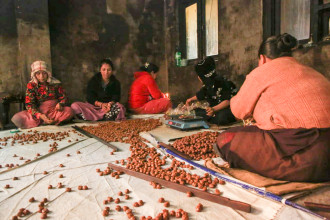 As Maghe Sankranti approaches, entrepreneurs are busy making Chaku (Photos)