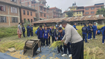 Everest School Students Busy Harvesting Paddy and Gaining Practical Knowledge (Photos)
