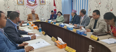 Bagmati Province Cabinet Approves Formation of Two Committees, Grants Tax Relief