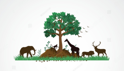 International Day for Biological Diversity Celebrated in Nepal