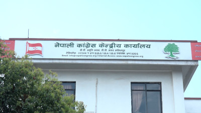 Nepali Congress Expresses Condolences Over the Demise of Dr. Pandey