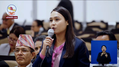MP Nisha Dangi Questions Parliament Chair Wood Imports