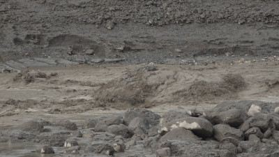 Bhote Koshi Flood Update: 1,409 Bodies Recovered