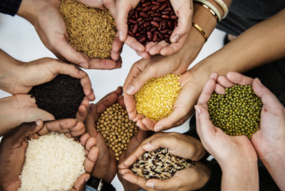 World Food Day Being Celebrated