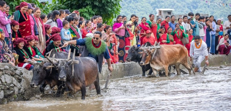 Fifth Hemja Mud Festival 2082 Concludes with Enthusiastic Participation