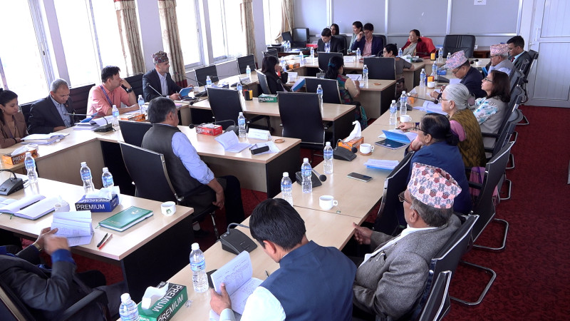 Two Parliamentary Committees to Meet Today