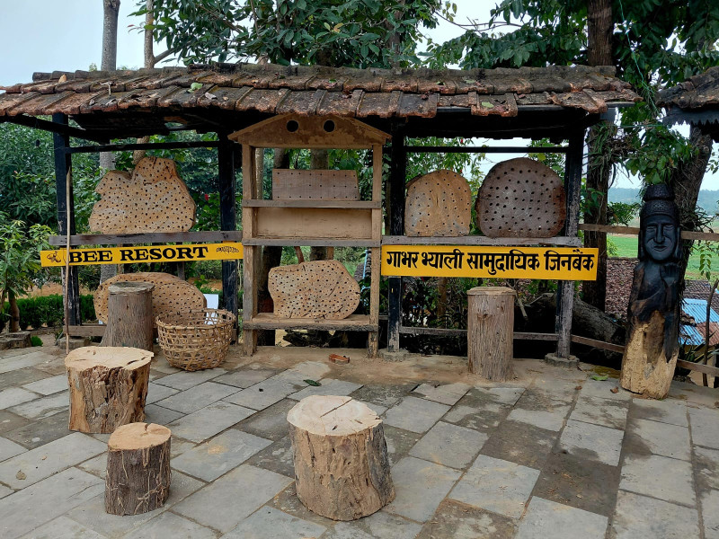 Insect Genetic Resource Conservation at Gabhar Valley Homestay (In Photos)