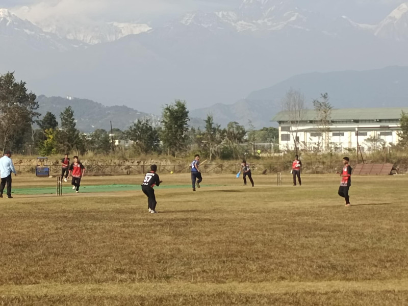 N-PABSON Cricket: Labin, Bagmara, National, Kaski, and Gyanjyoti Victorious