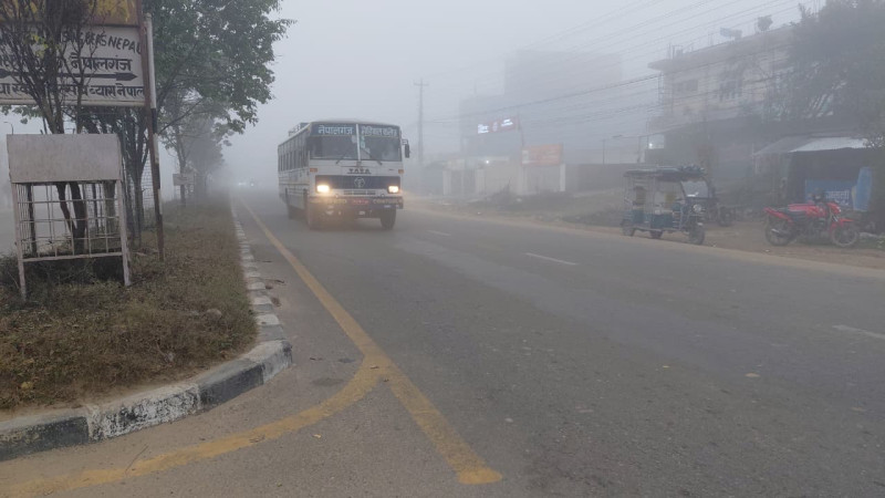 Cold Wave and Fog in Nepalgunj
