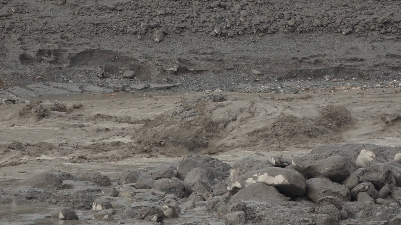 Bhote Koshi Flood Update: 1,409 Bodies Recovered