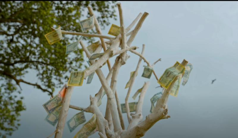 New Teej Song ‘Paisa Falne Buto’ Released – A Fresh Musical Treat for the Festival