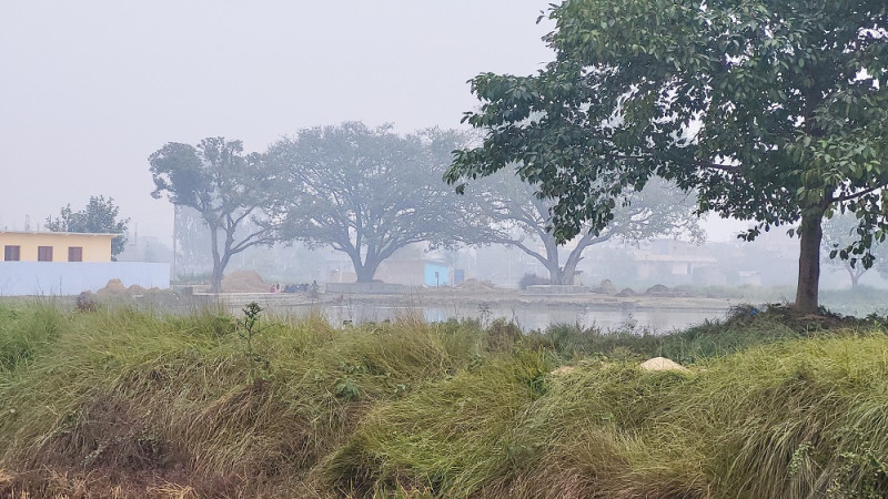 Weather Update: Fog Likely in Terai, Partly Cloudy in Hills and Mountains