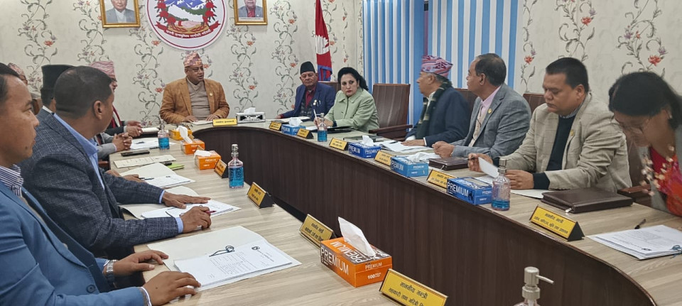 Bagmati Province Cabinet Approves Formation of Two Committees, Grants Tax Relief