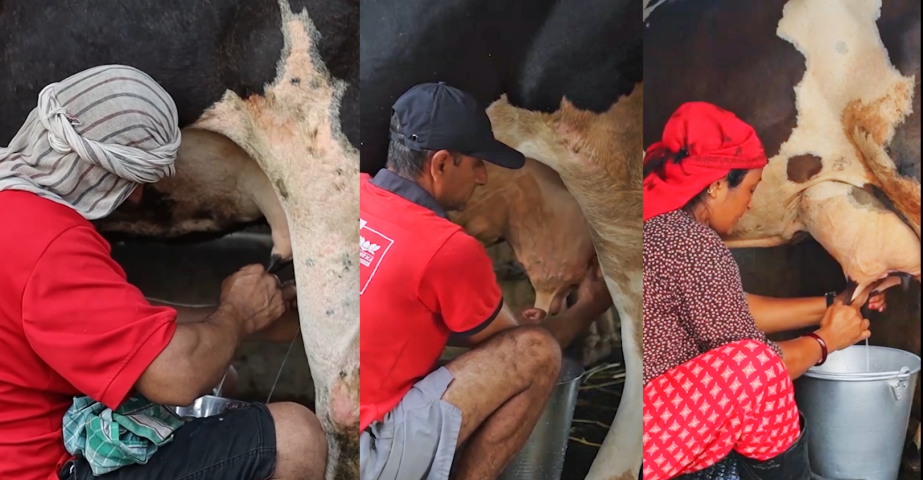 Competitive Dairy-Milking Reality Show ‘Doodh’ to Begin