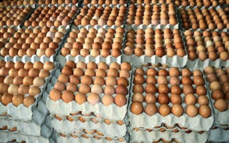 Egg Farmers in Nepal Finally Seeing Profit After Years of Losses
