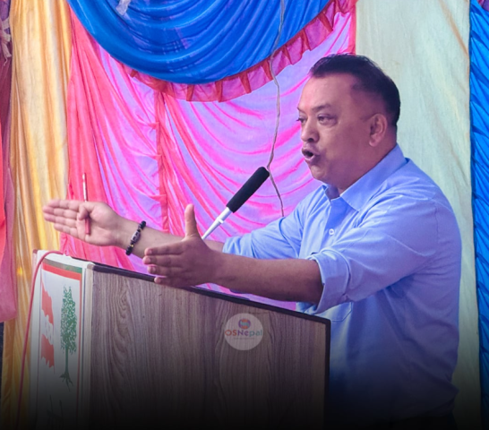 Gagan Thapa Insists on Nepali Congress 15th General Convention Before Election