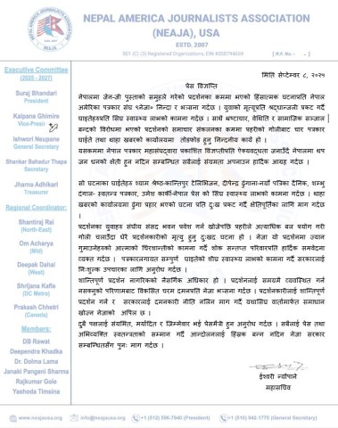 NEJA Condemns Violence During Gen-Z Protest in Nepal