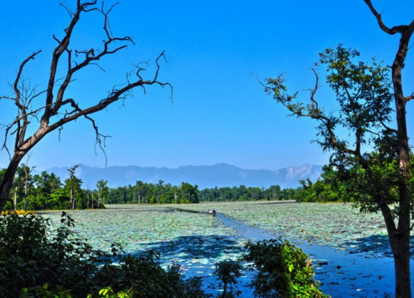 World Wetlands Day and the Importance of Nepal’s Ecosystems