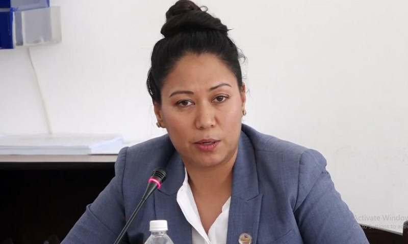 Sumana Shrestha Criticizes Exclusion of Overseas Voters