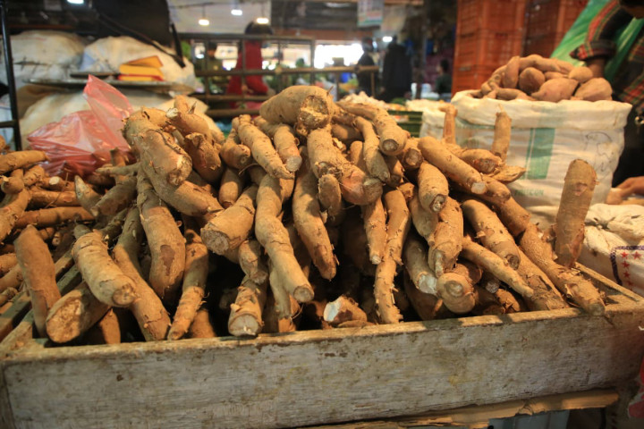 Busy Trade of Taro in Kalimati Ahead of Maghe Sankranti (Photos)