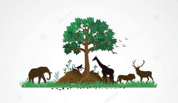 International Day for Biological Diversity Celebrated in Nepal