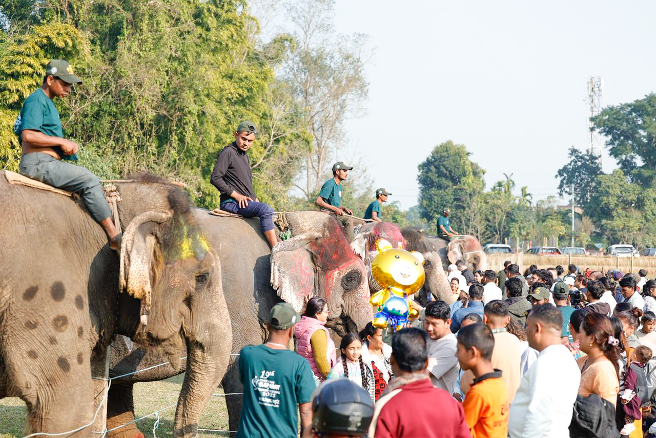 chitwan-elephant-festival-(2)-1766746011.jpg