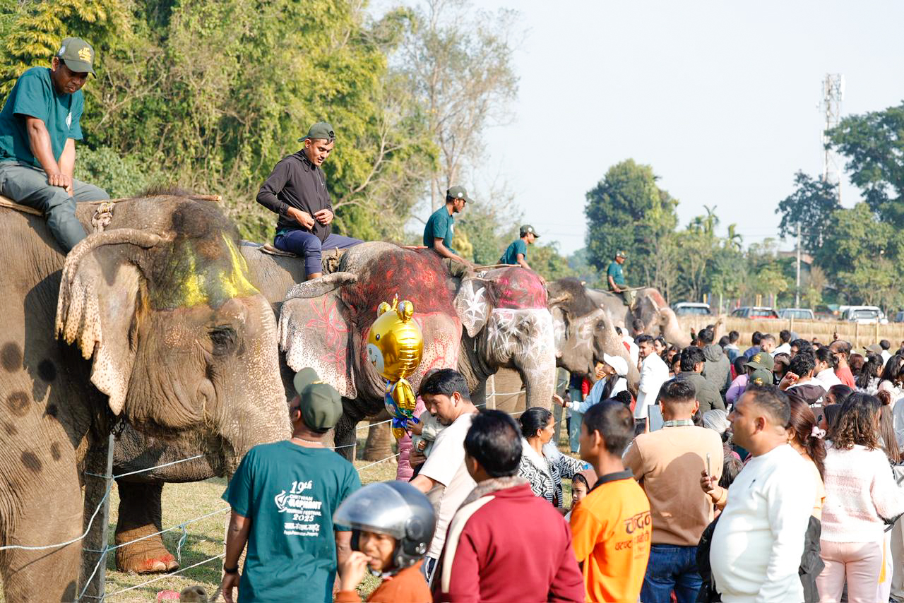 chitwan-elephant-festival-(3)-1766746016.jpg