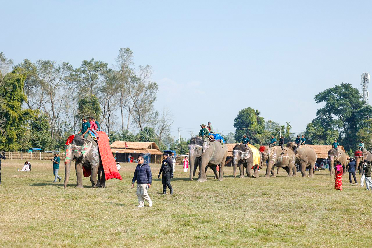 chitwan-elephant-festival-(7)-1766746023.jpg