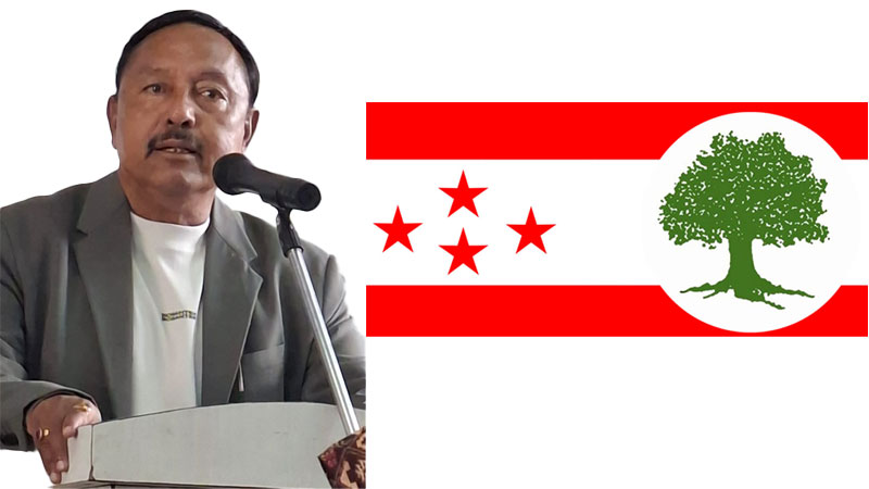 Nepali Congress Leader Deepak Giri Demands Regular Convention be Held by Mid-December