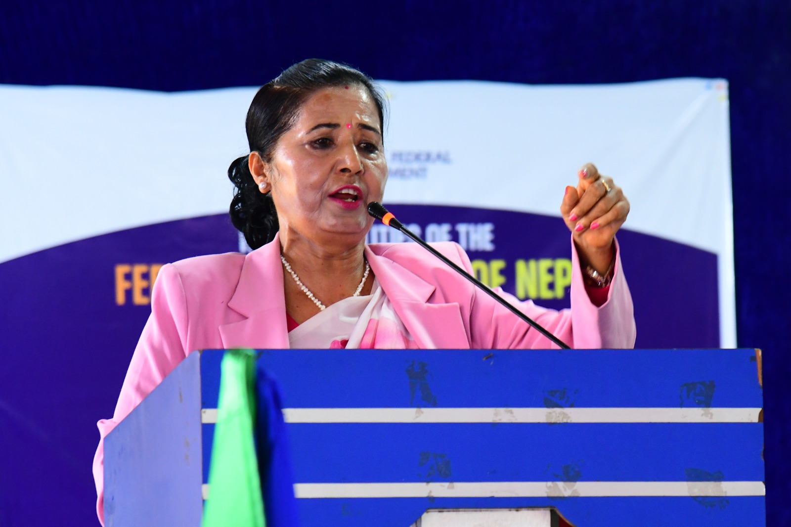 Democracy Remains Incomplete Without Active Youth Participation: Dr. Sangraula