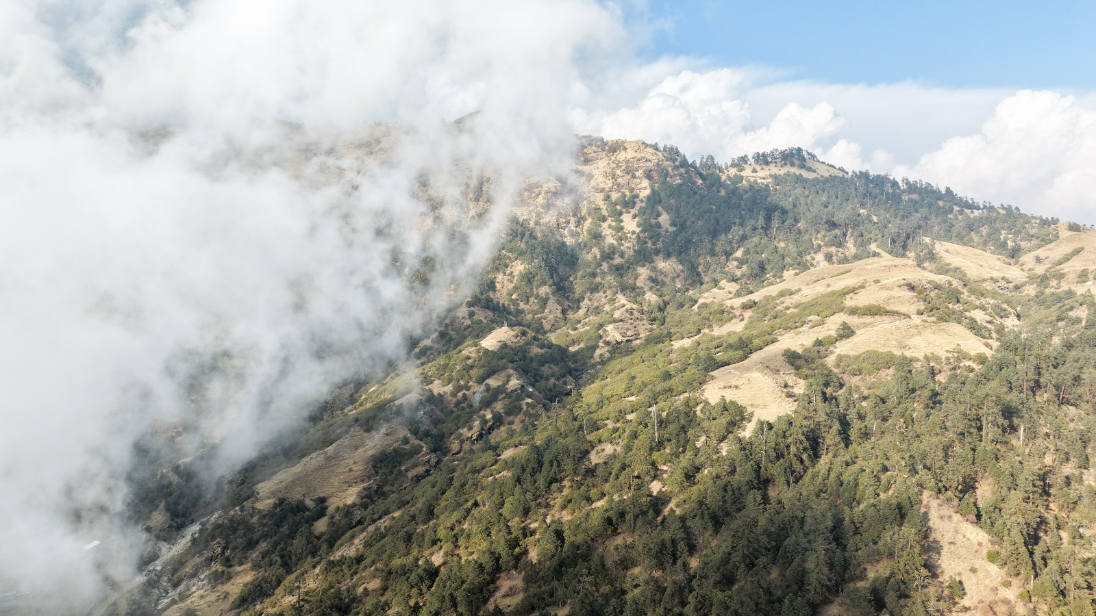 kalinchok-kuri-(1)-1770967096.jpg
