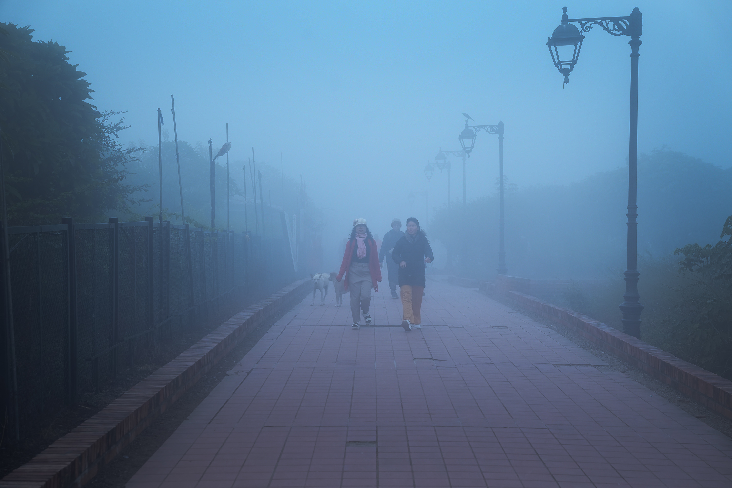 lumbini-in-morning-(12)-1766034591.JPG