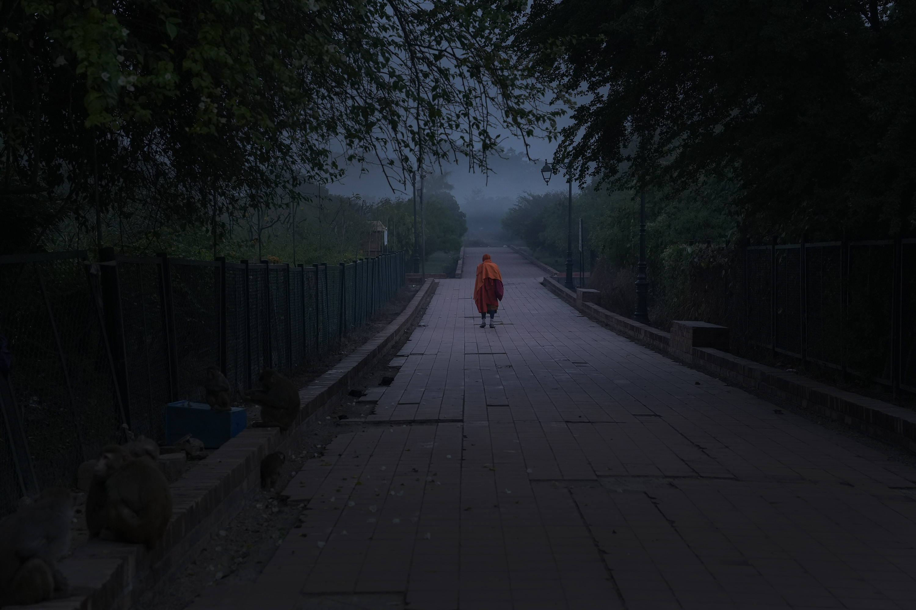 lumbini-in-morning-(6)-1766034570.JPG
