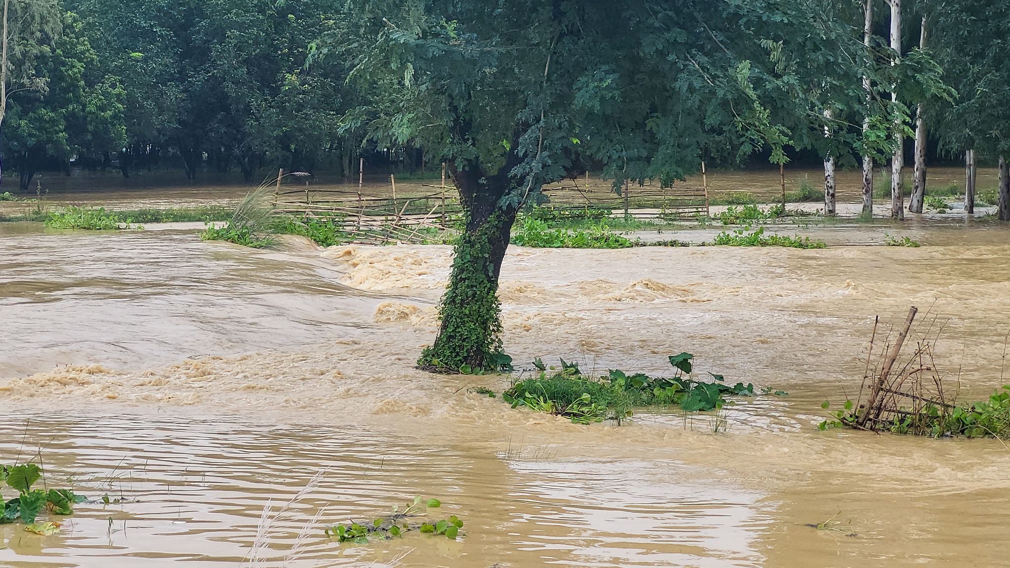 mahottari-flood-(5)-1759725262.jpg