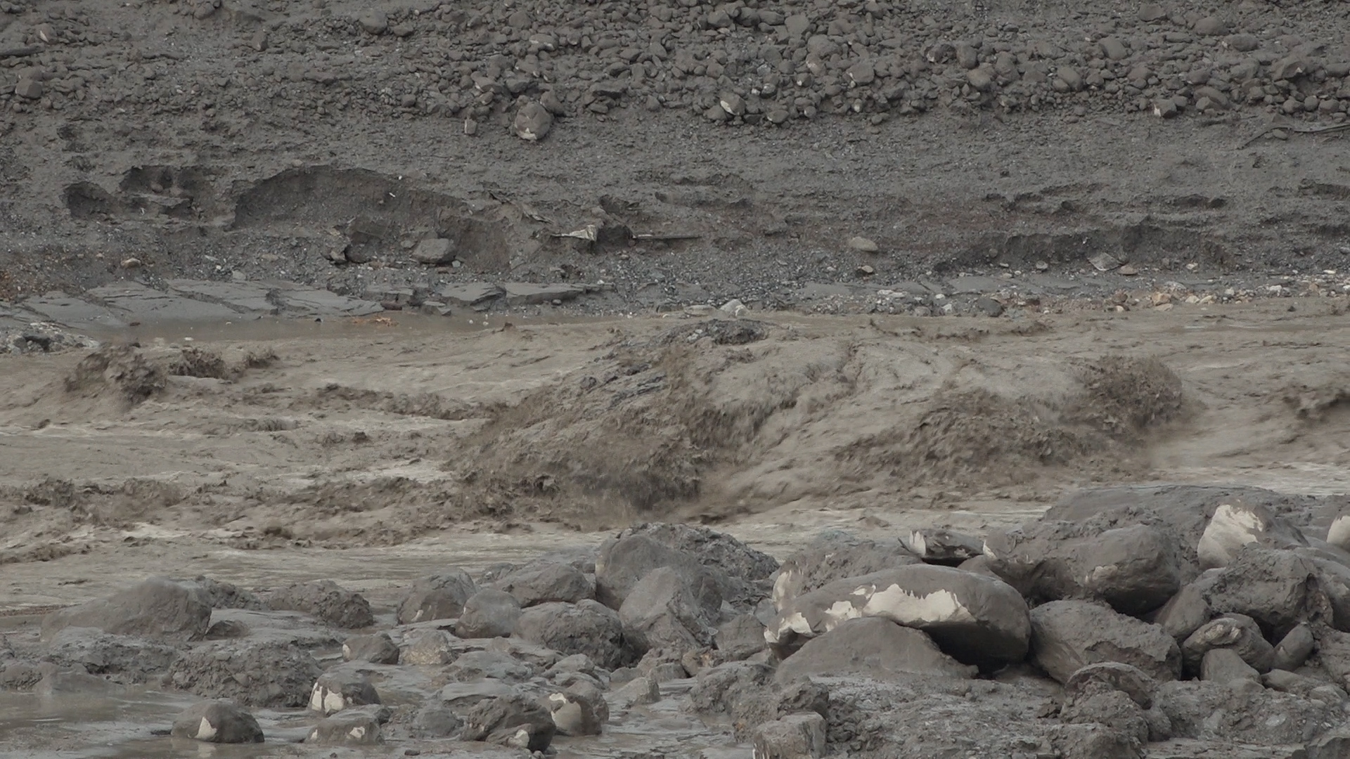 Bhote Koshi Flood Update: 1,409 Bodies Recovered