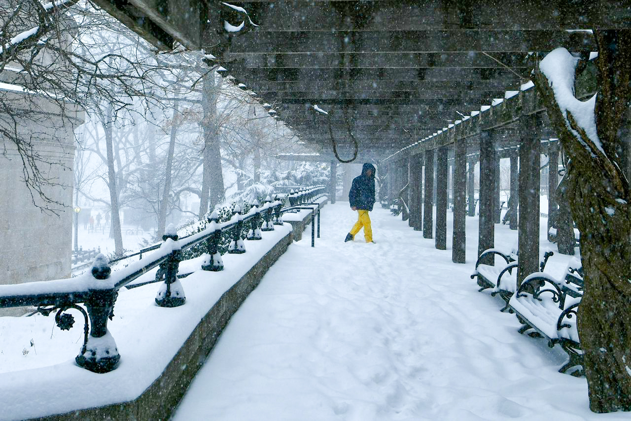 snowfall-in-new-york-city-(1)-1769406394.jpg