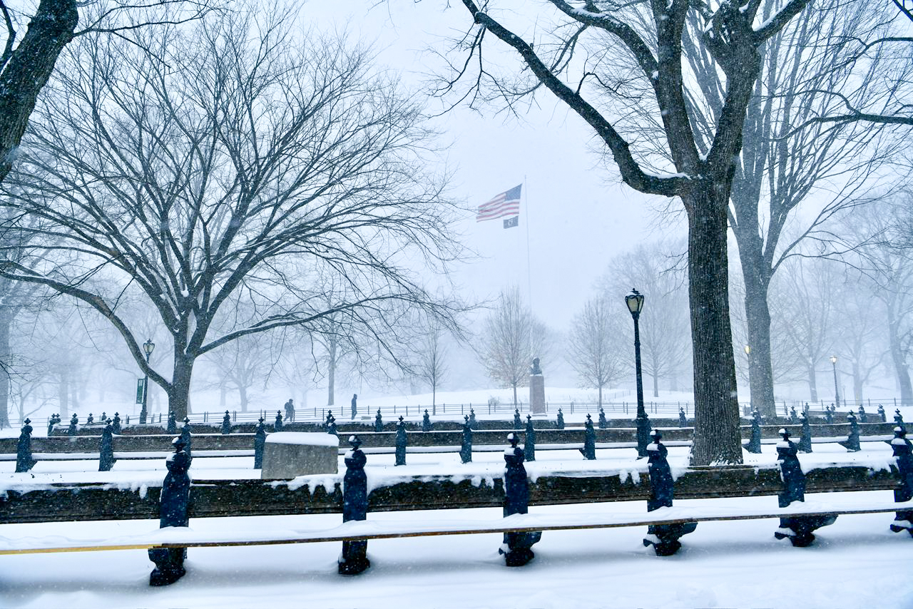 snowfall-in-new-york-city-(3)-1769406396.jpg