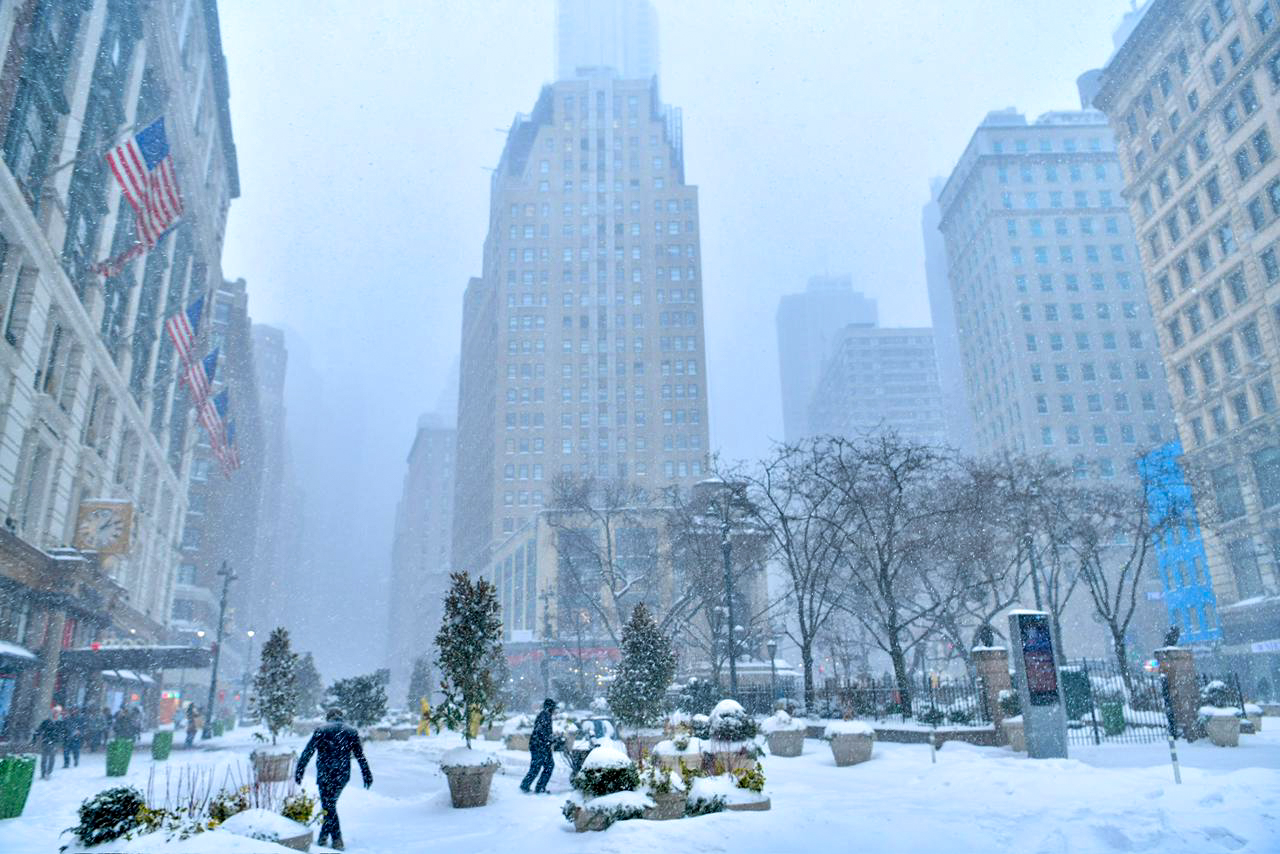 snowfall-in-new-york-city-(6)-1769406399.jpg