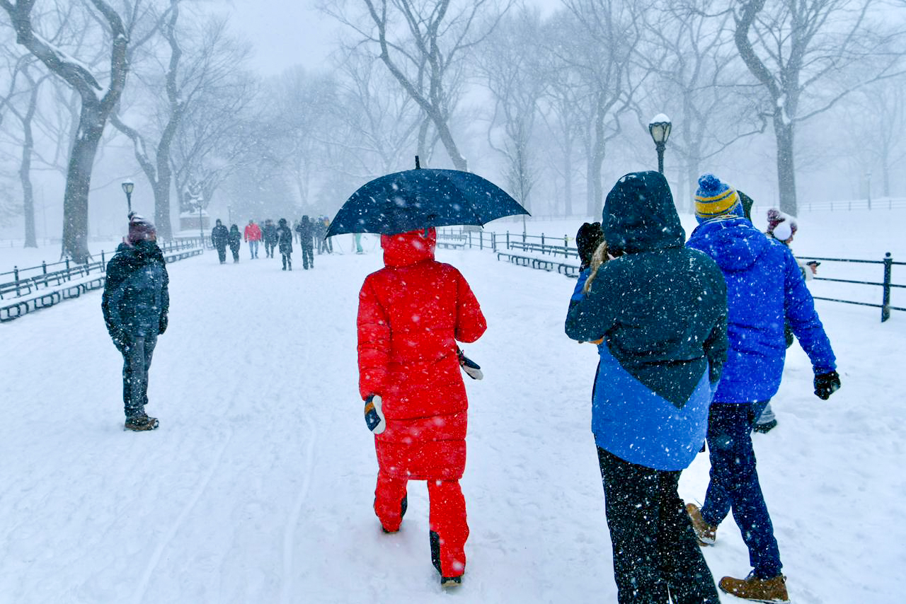 snowfall-in-new-york-city-(8)-1769406403.jpg