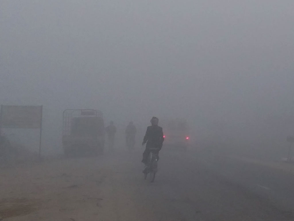 Today's Weather Forecast: Mist and Fog in Terai Regions