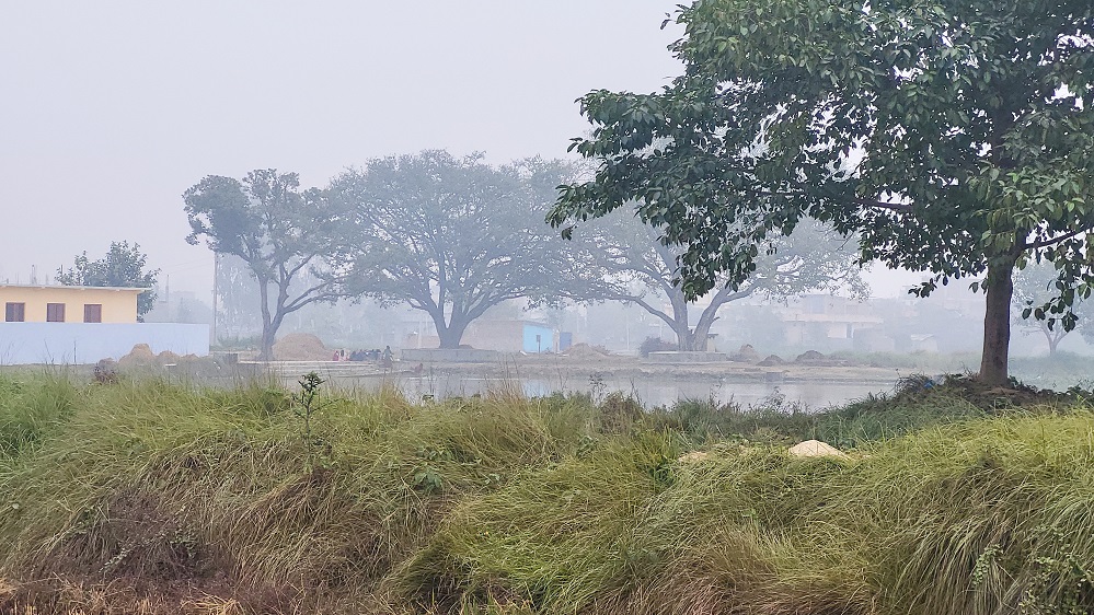 Weather Update: Fog Likely in Terai, Partly Cloudy in Hills and Mountains